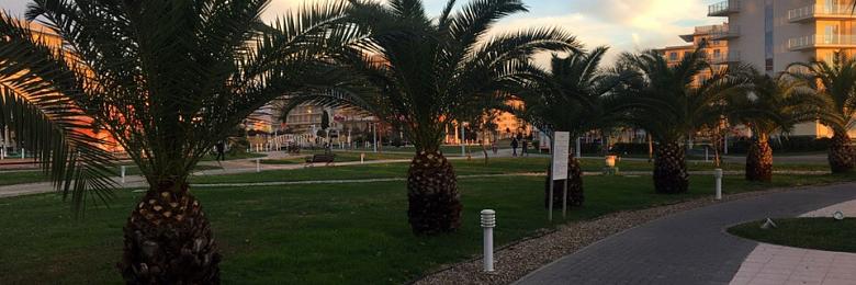 Отзыв о Сочи Парк Отеле
